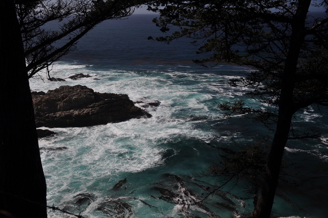 Point Lobos